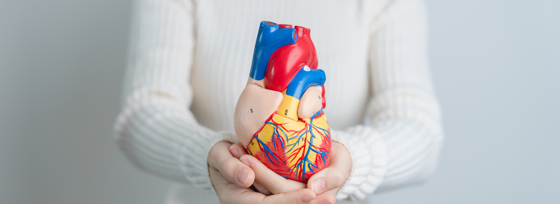 Systolic vs diastolic: Understanding the difference